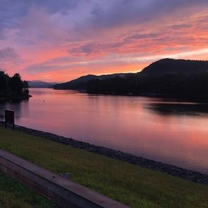 Meet your Posher, Shelly